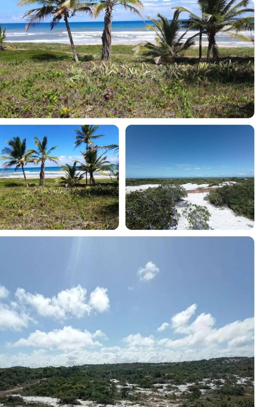 #2909 - Área para Venda em Mata de São João - BA