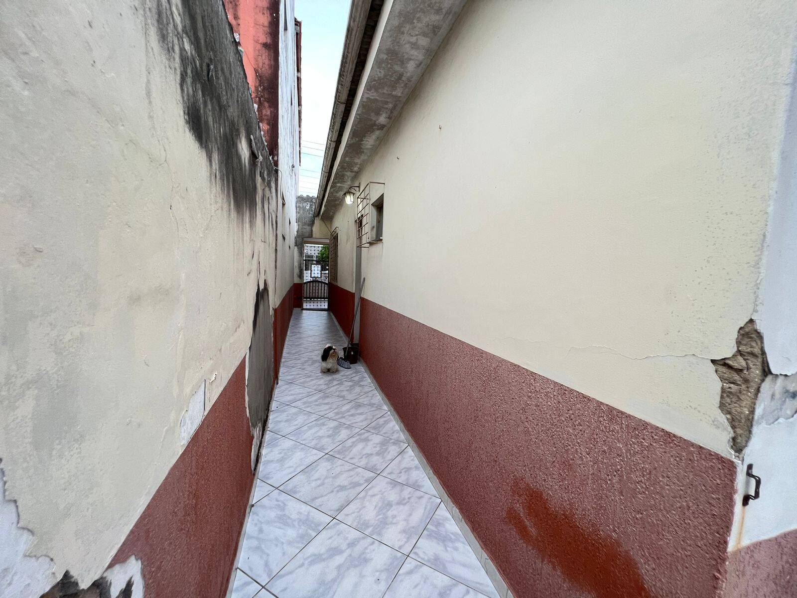 Casa à venda com 5 quartos, 200m² - Foto 19