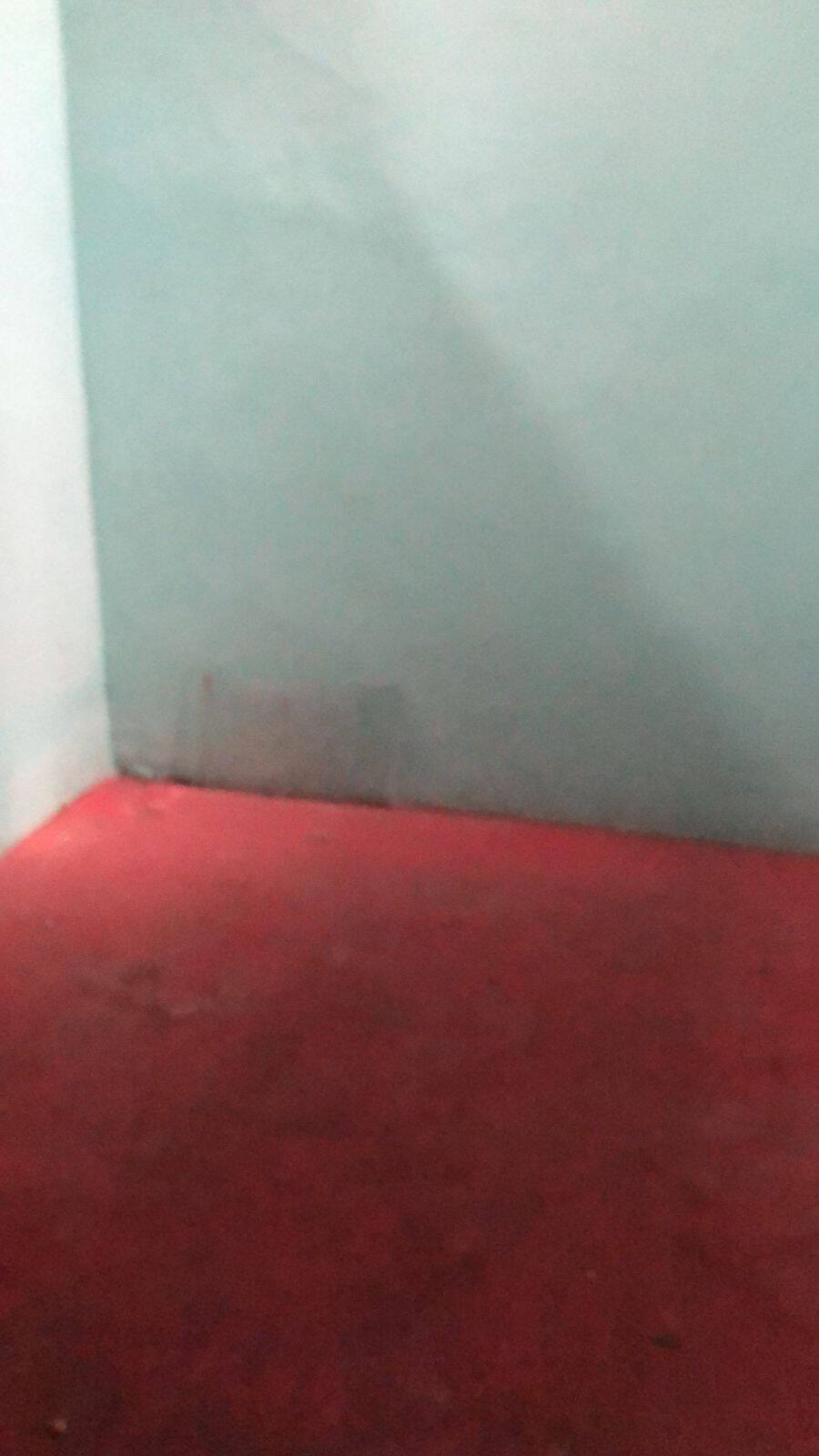 Casa, 4 quartos - Foto 11