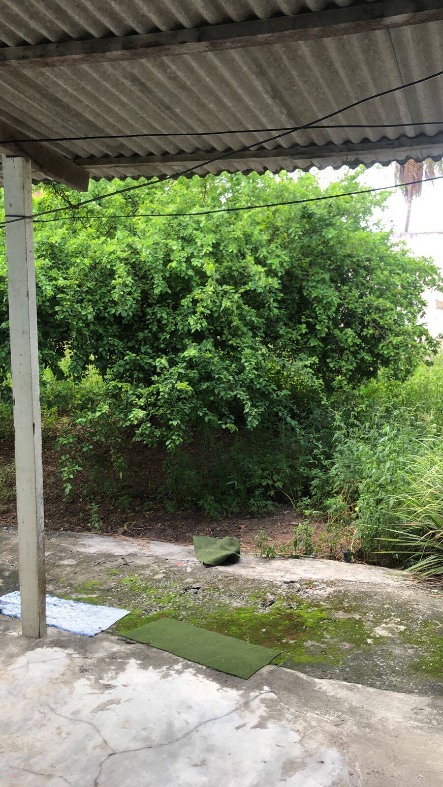 Casa, 4 quartos - Foto 15