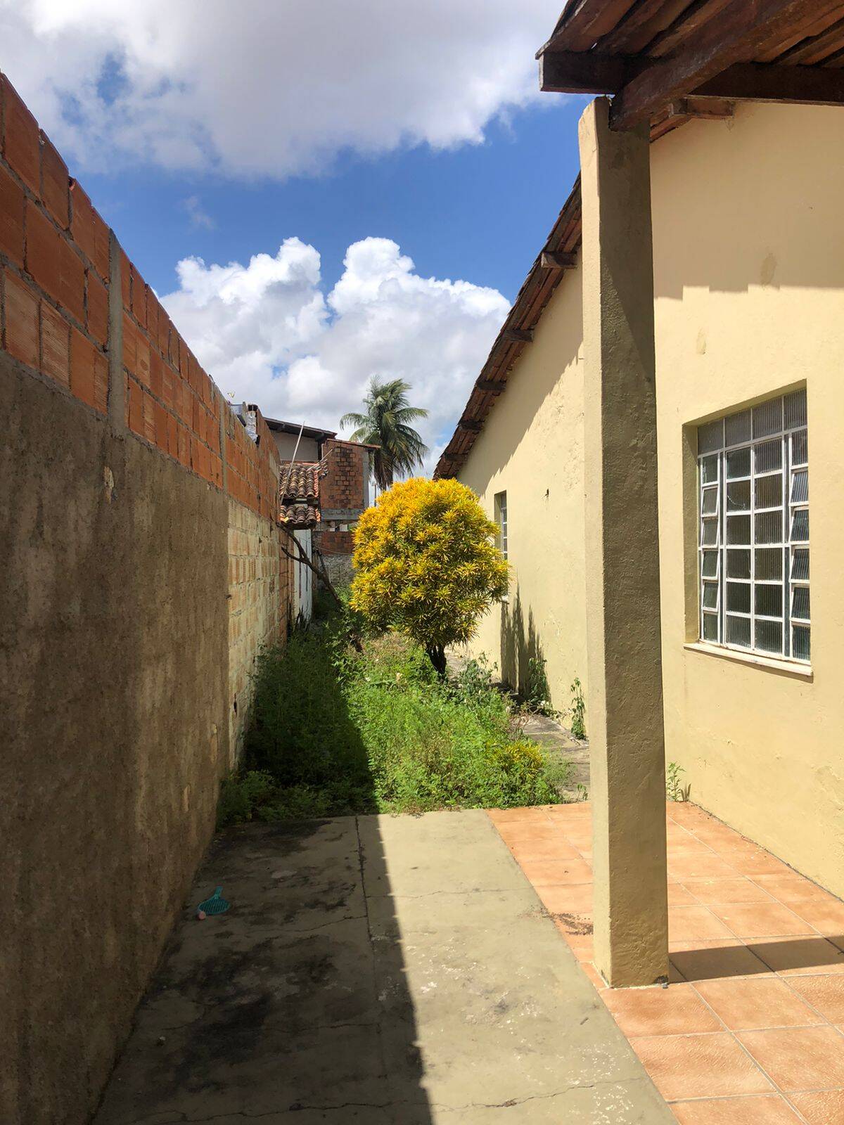 Casa, 4 quartos - Foto 2