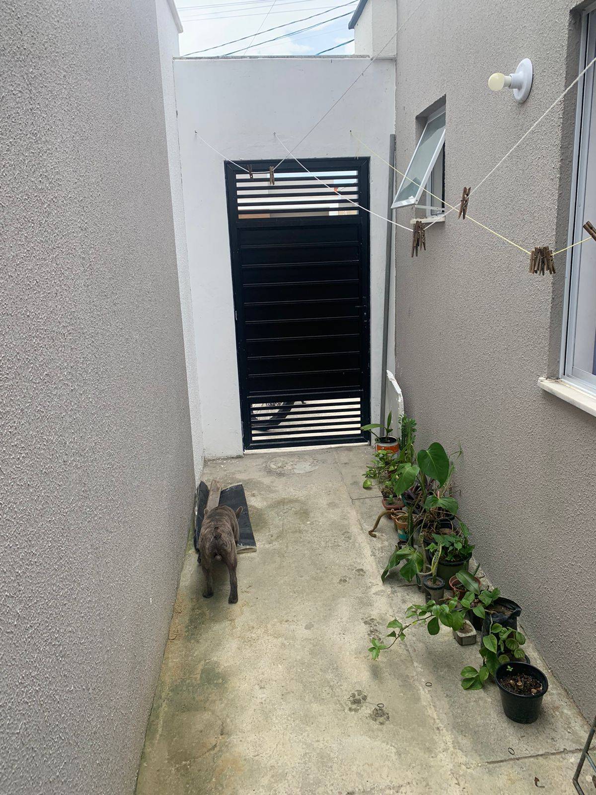 Casa, 2 quartos - Foto 17