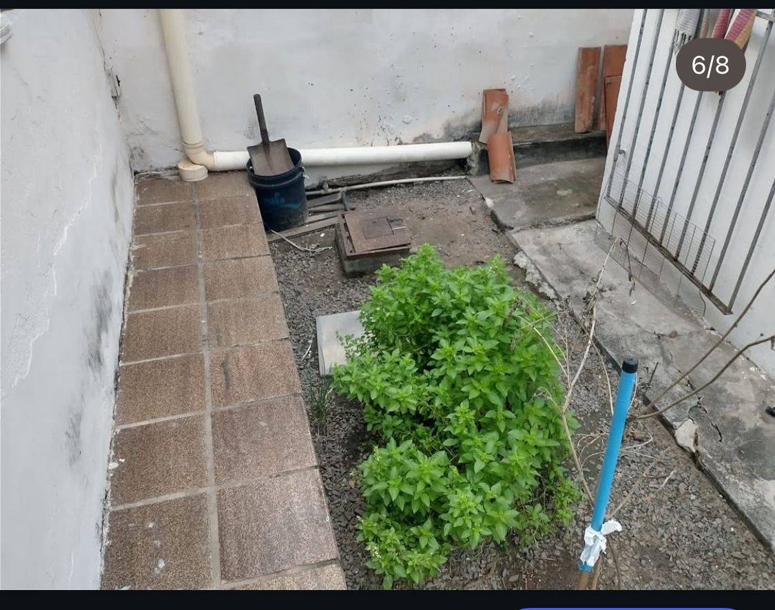 Casa, 4 quartos, 100 m² - Foto 6