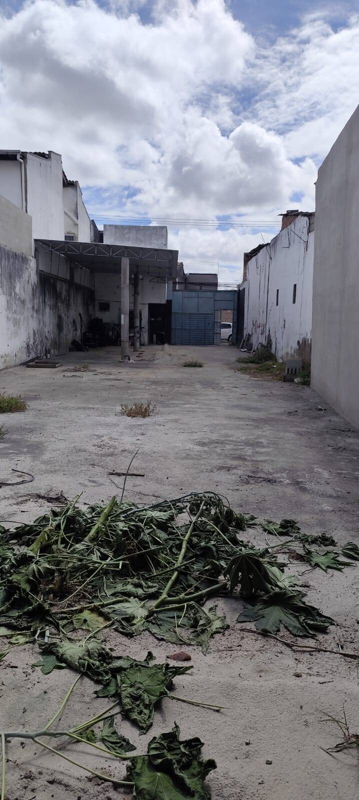 Depósito-Galpão - Foto 3