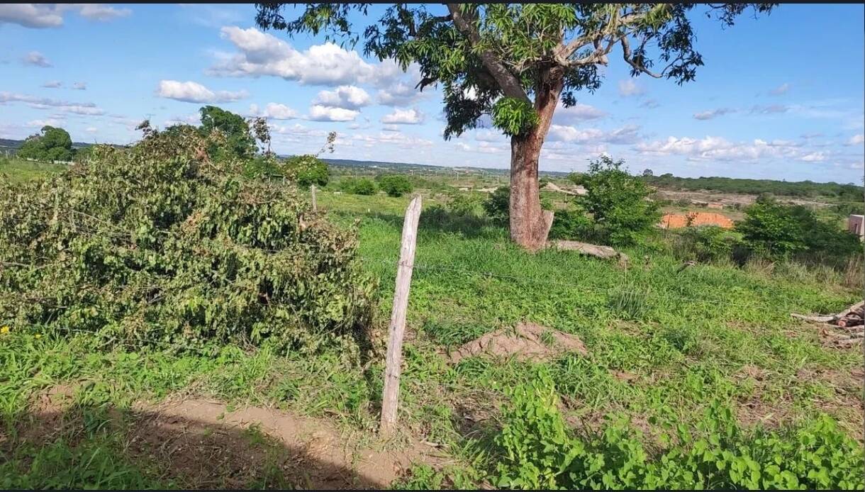 #3287 - Terreno para Venda em Santa Bárbara - BA