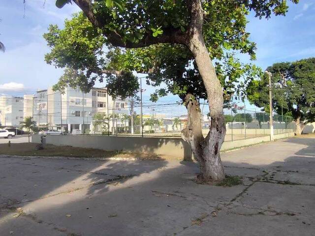 #3275 - Apartamento para Venda em Feira de Santana - BA - 3