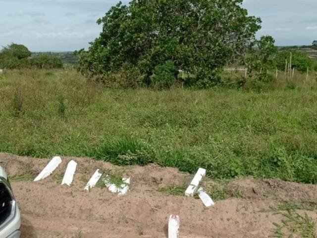 #3287 - Terreno para Venda em Santa Bárbara - BA - 3