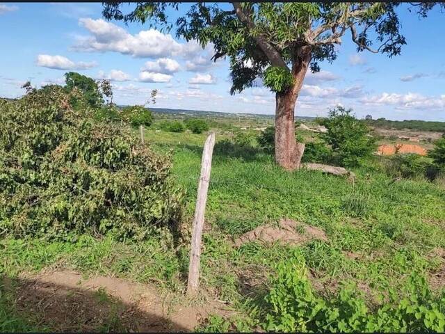 #3287 - Terreno para Venda em Santa Bárbara - BA - 1