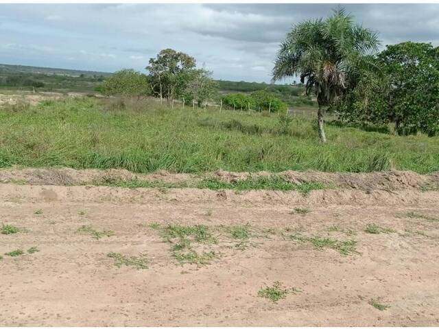 #3287 - Terreno para Venda em Santa Bárbara - BA - 2